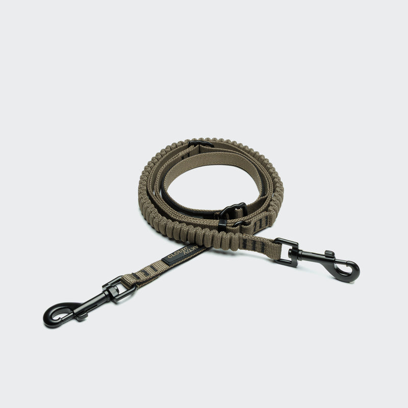 Olive green dog leash with black metal clasp on a light gray background