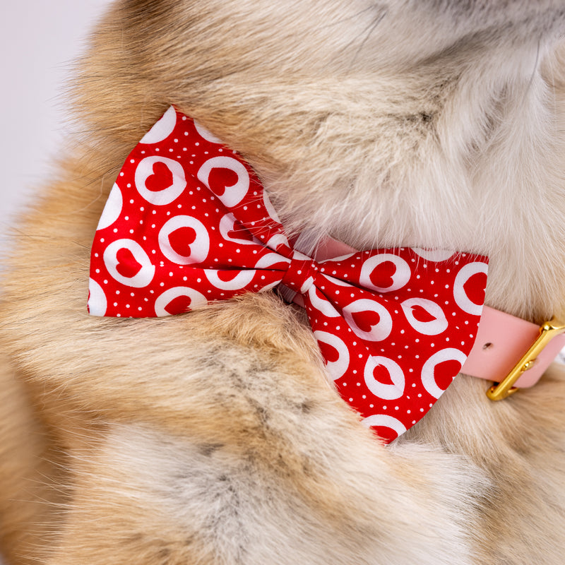 Heartfull Dog Bow Tie