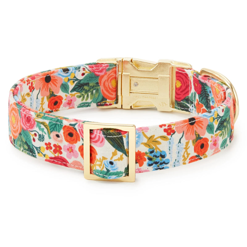 Floral dog collar with gold buckle on a white background