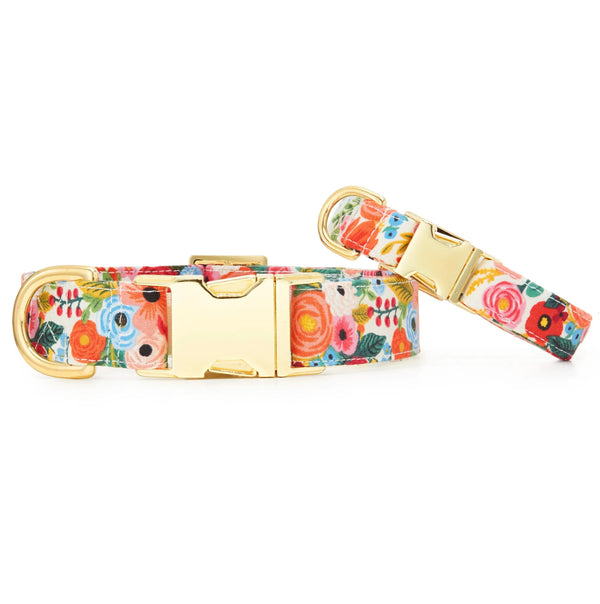 Floral-patterned dog collar with gold buckle on a white background