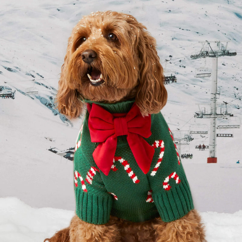 Dog wearing a green sweater with candy cane pattern and red bow tie against a snowy mountain background