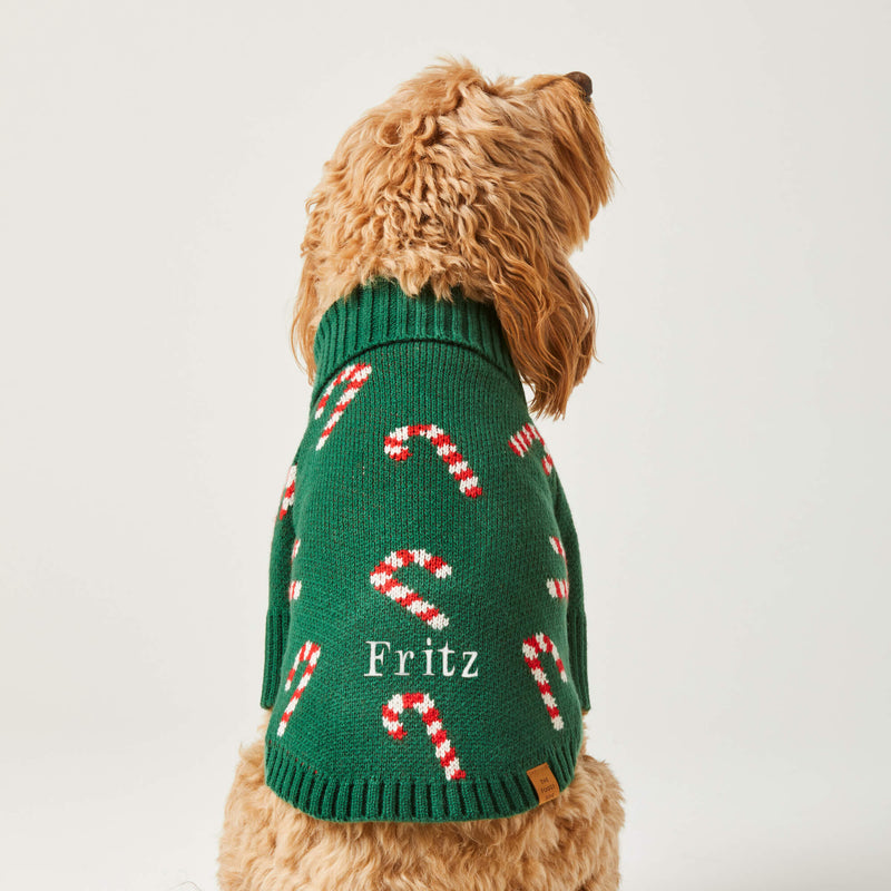 Dog wearing a green sweater with candy cane patterns and 'Fritz' on a light gray background