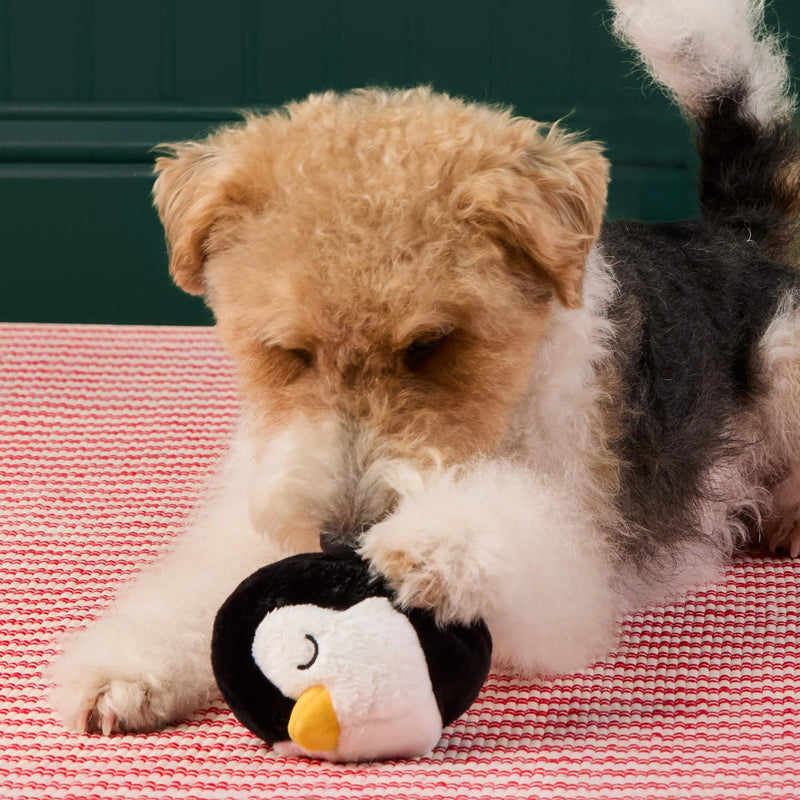 Dog playing with a penguin toy on a red and white striped blanket