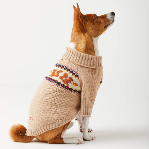 Shina Inu Wearing Squirrel Dog Jumper
