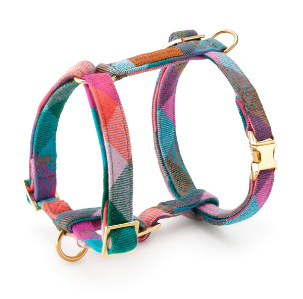 Foggy Dog_Colour Pop Plaid-Dog Harness