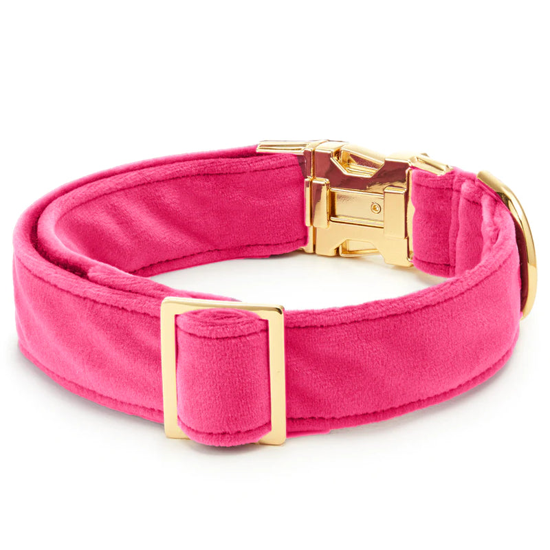 Foggy Dog-Hot Pink Velvet Dog Collar_Back