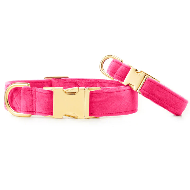 Foggy Dog-Hot Pink Velvet Dog Collar_Small and Large 