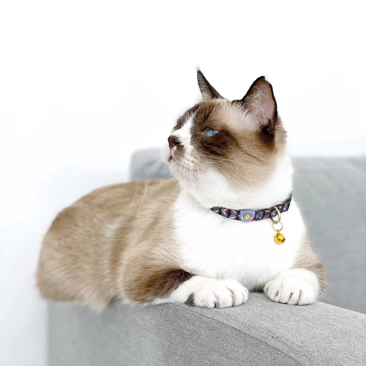 Diamond cat collar hotsell