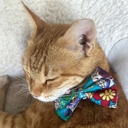 Howl & Growl_Dog Bow Tie_Cat_Mexican Skull