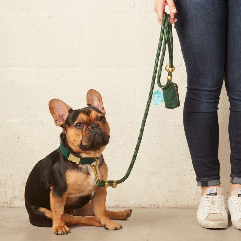 Foggy Dog_Evergreen Dog Lead_Green Velvet Collar