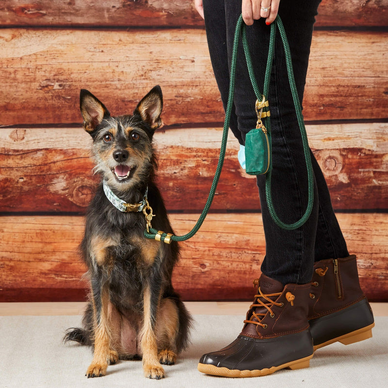 The Foggy Dog_Evergreen Dog Lead_Lifestyle