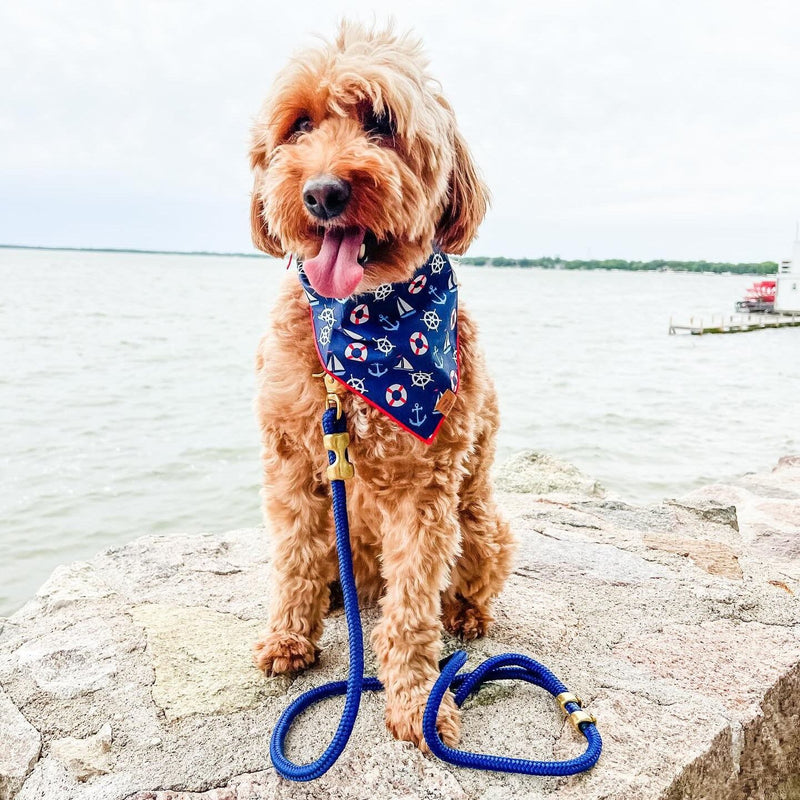 Foggy Dog_Marine Rope_Dog Lead_Ocean Blue_Bandana matching