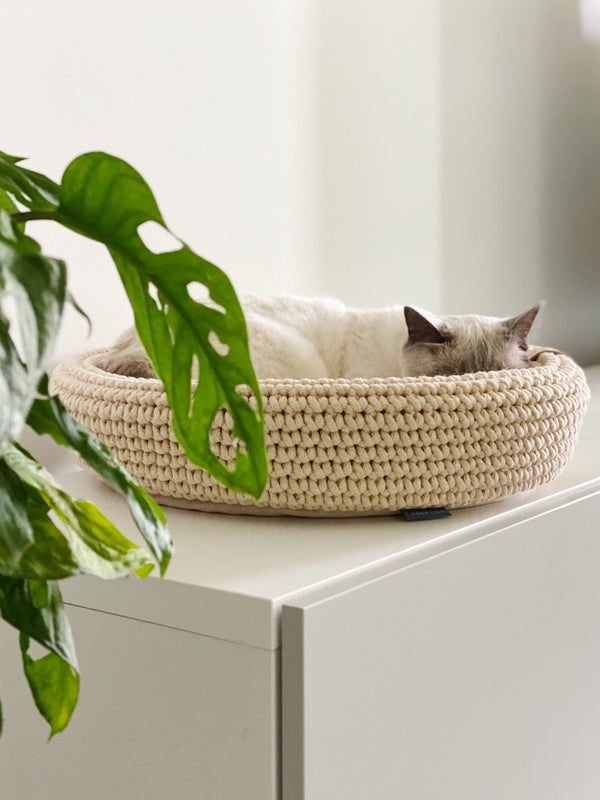 Cat lying in a woven pet bed next to a green plant on a white surface