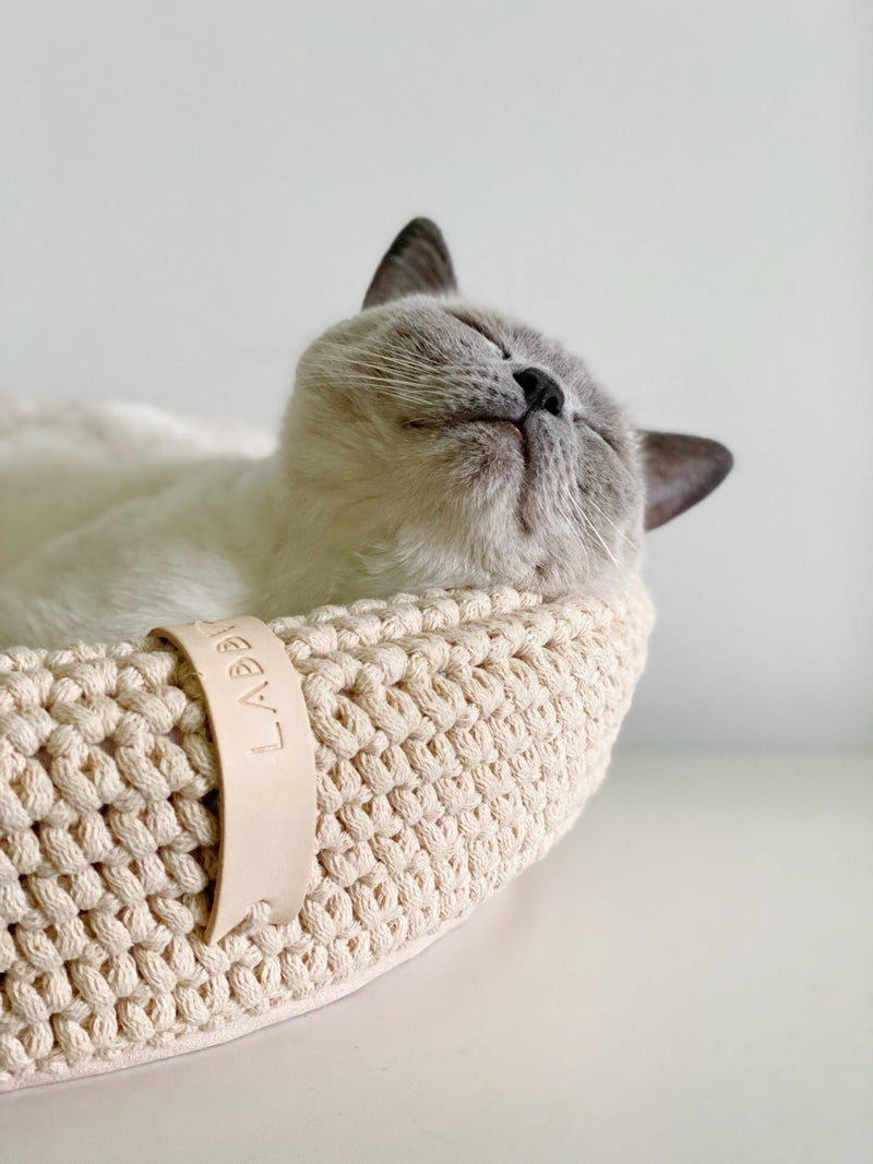 Cat sleeping in a beige crochet cat bed with a plain background