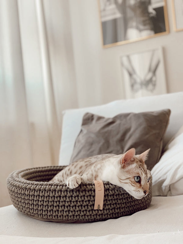 Cat lying on a textured pet bed on a couch with a neutral background