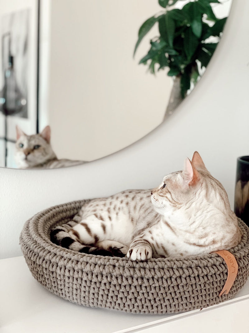 Cat lying on a woven pet bed with a mirror reflecting the room in the background.