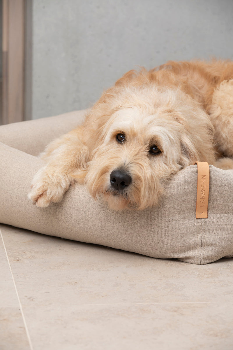 Moe Dog Bed-Sand
