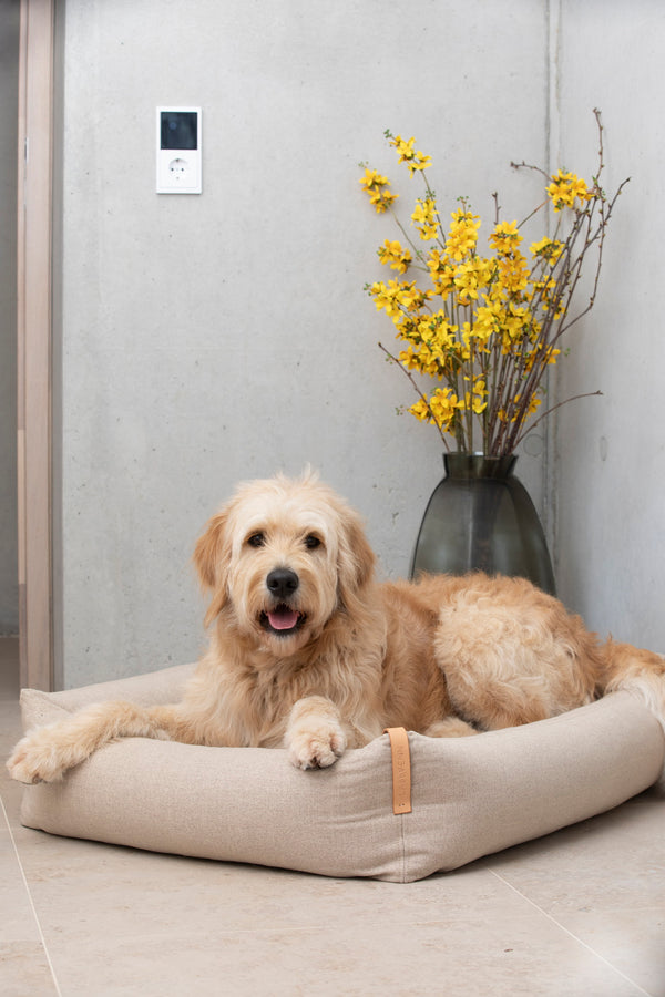 Dog lying on a beige pet bed with a vase of yellow flowers in the background.