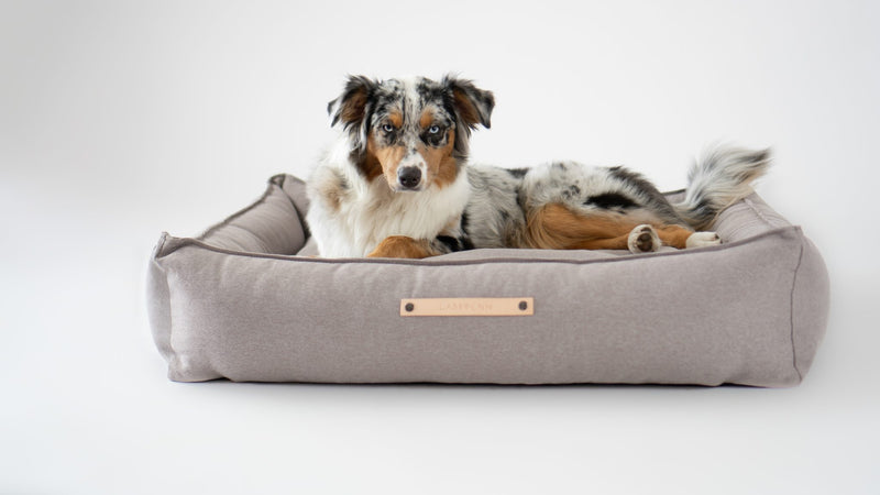 Tove Dog Bed_Medium_Nut_Beige