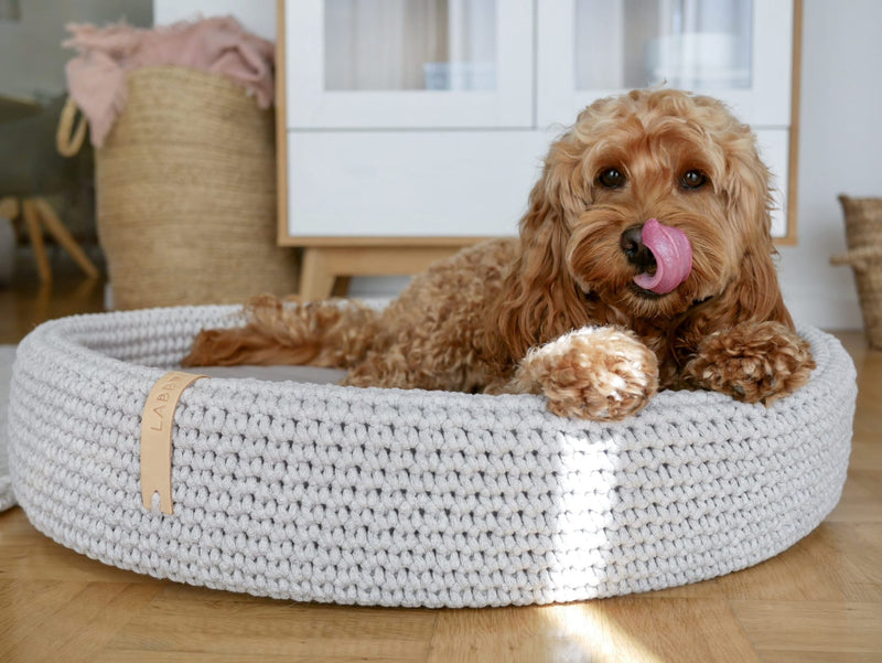 Dog lying on a white crochet dog bed in a home setting