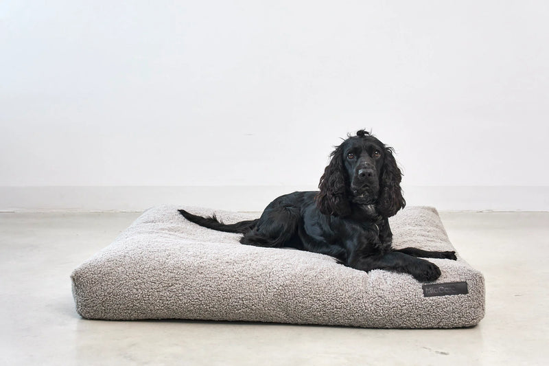 Miacara_Senso Dog Bed_Greige_Spaniel_Lying down 