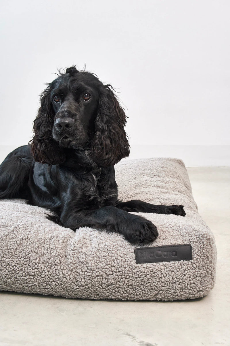 Miacara_Senso Dog Bed_Greige_Spaniel close up 
