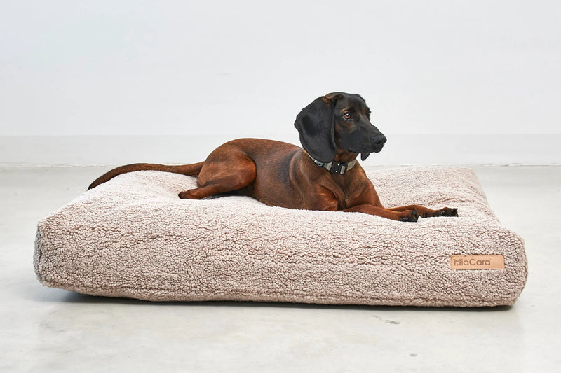 MiaCara_Senso_Dog Bed_Beige_Grey_dog
