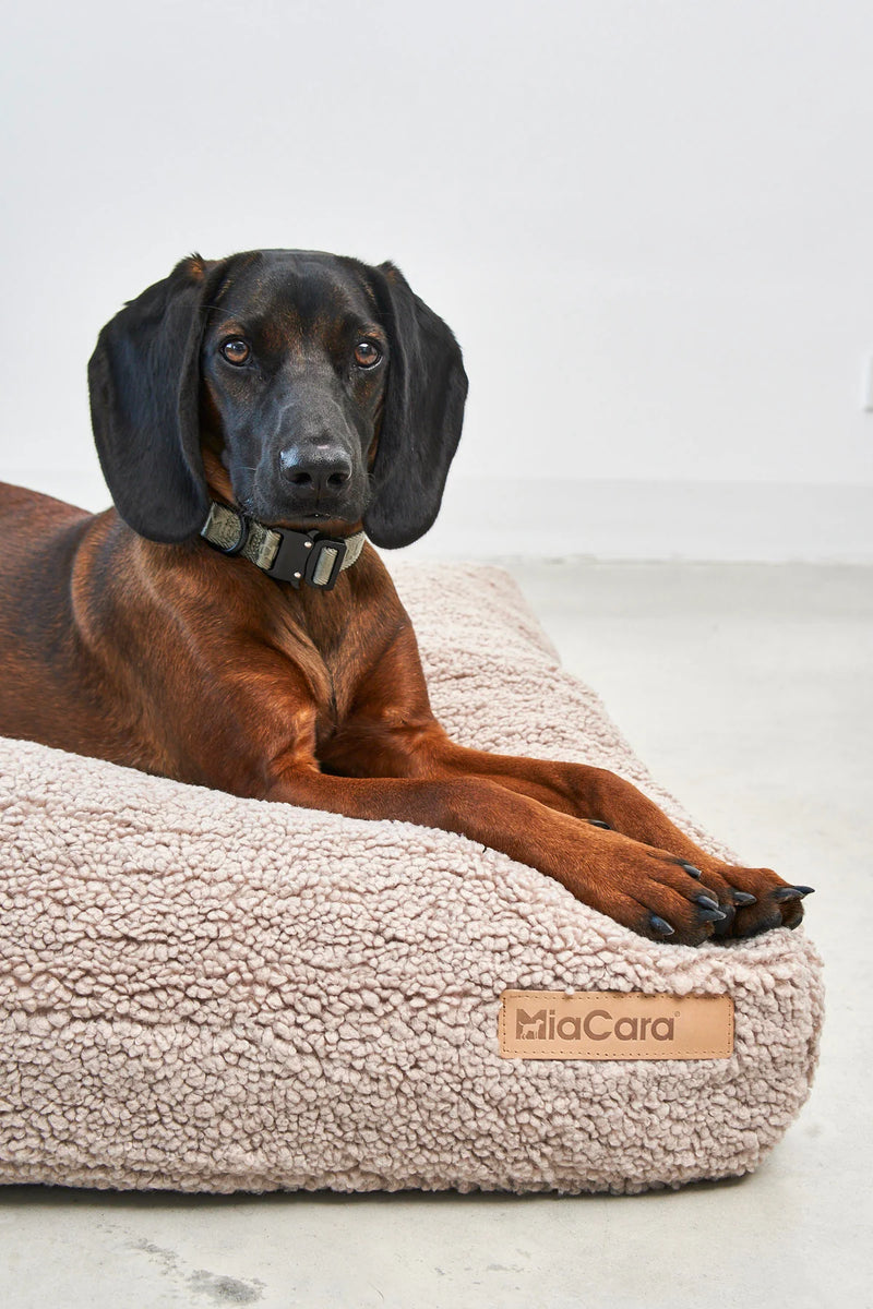 MiaCara_Senso_Dog Bed_Beige_Grey_Front