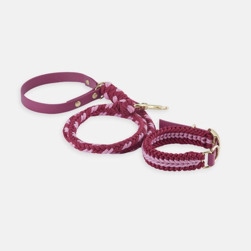 Braided pink dog leash and collar set on a white background