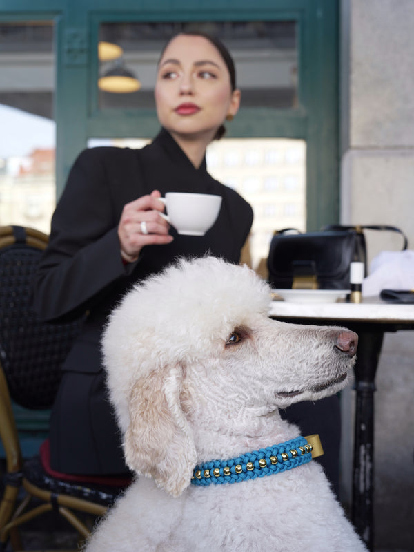 Woman holding a cup of coffee with a white dog wearing a blue collar in an outdoor cafe setting.