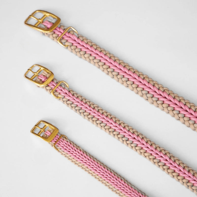 Two braided straps with gold buckles on a light gray background
