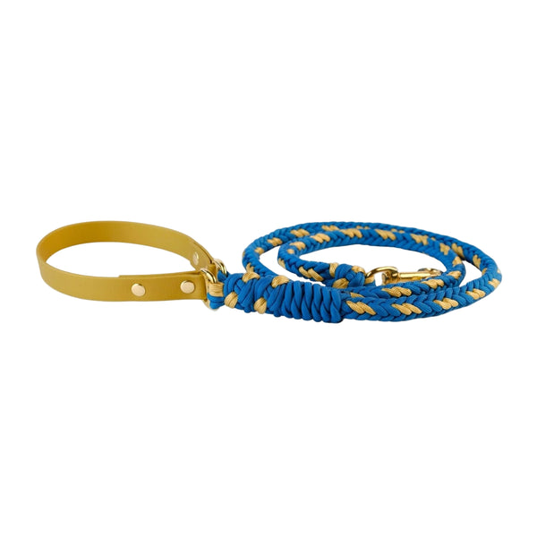 Blue and yellow dog leash with a yellow handle on a white background