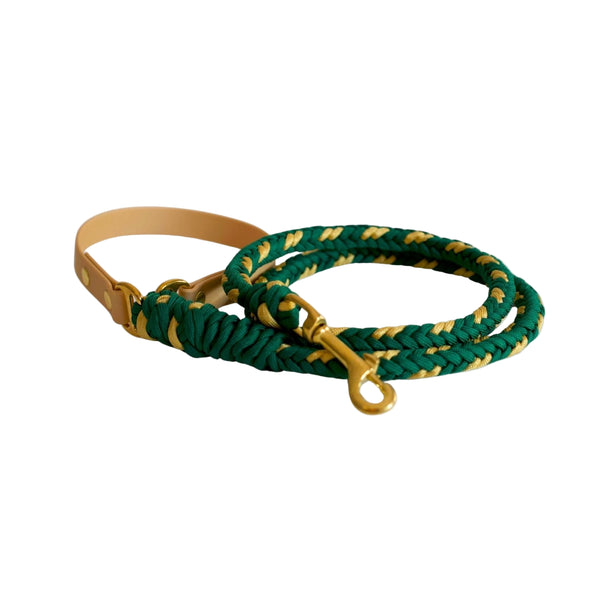 Green and gold dog leash on a white background