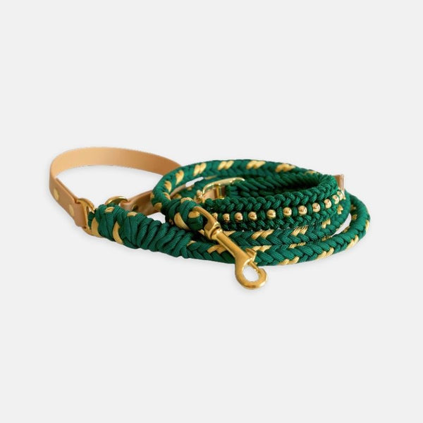 Green dog leash with gold hardware on a white background