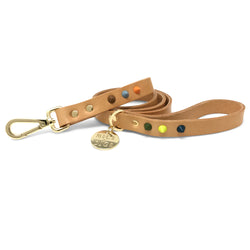 Nice DIgs_Smooth Spike_Leather Dog Collar-Dune Tan