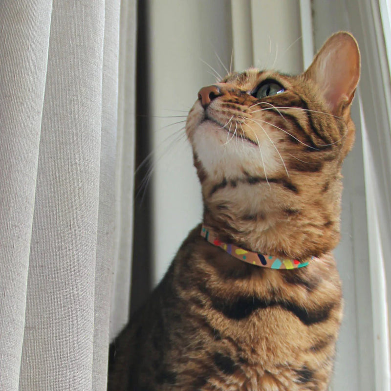 Nice DIgs_Confetti_Cat Collar_Leather_Side