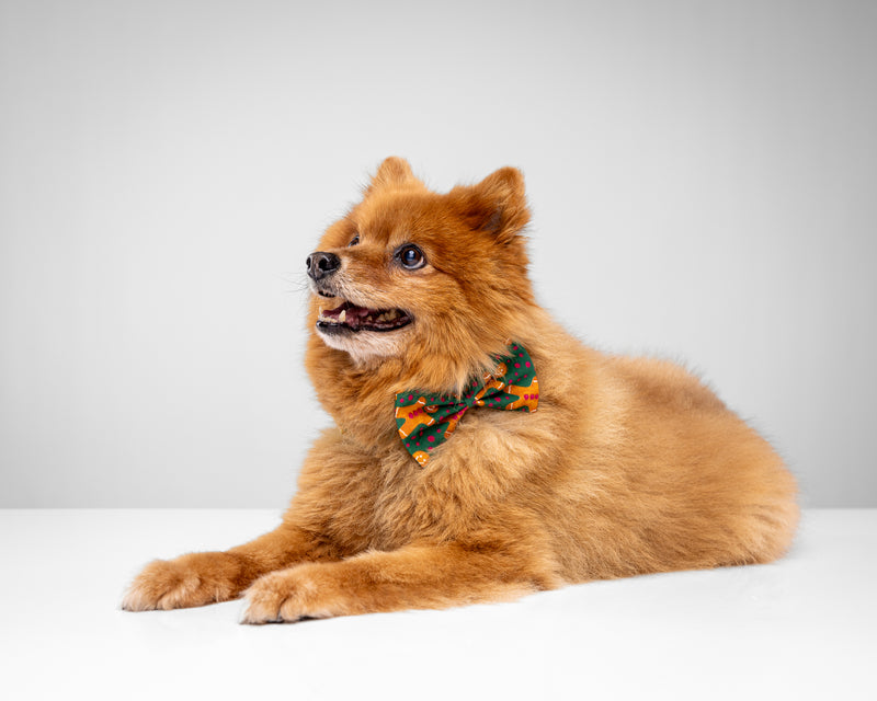 Howl & Growl_Dog Bow tie_Gingerbread green 