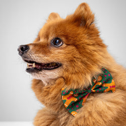 Howl & Growl_Dog Bow tie_Gingerbread green 