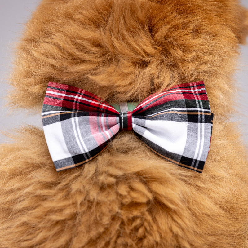 Howl & Growl_Dog Bow Tie_Cream Tartan_close up