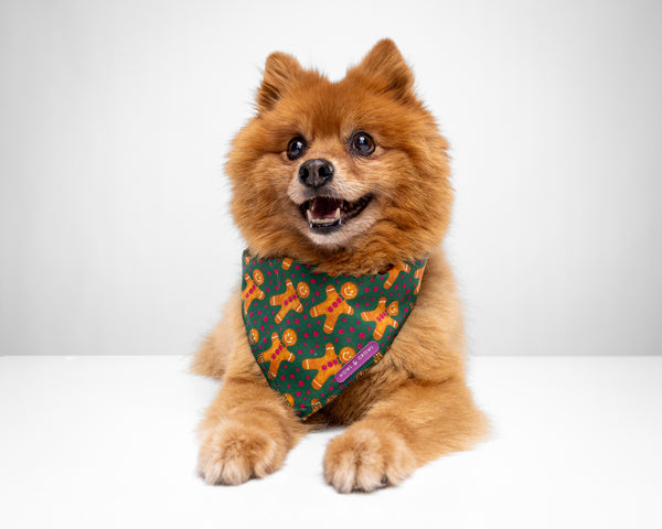 Howl & Growl_Dog Bandana_Gingerbread green_Pomeranian