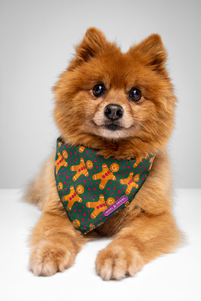 Howl & Growl_Dog Bandana_Gingerbread green 