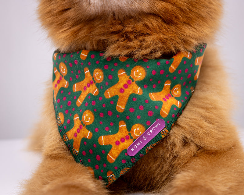 Howl & Growl_Dog Bandana_Gingerbread green _close up