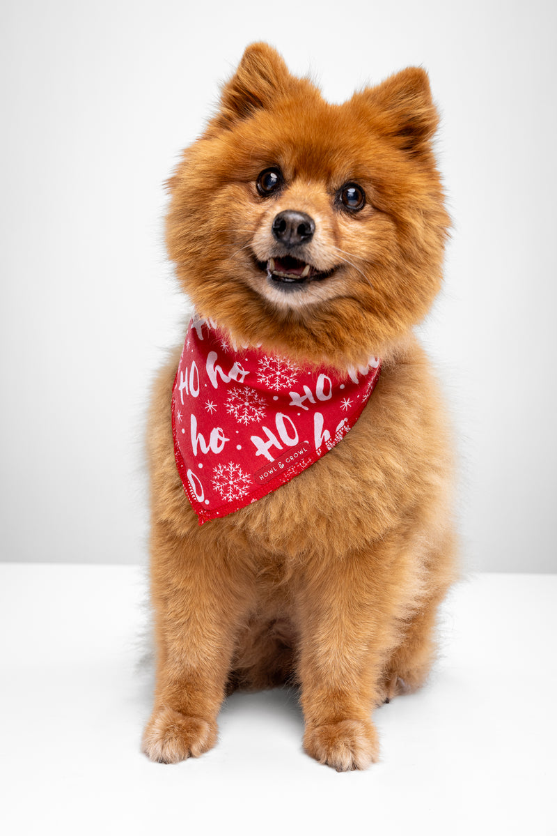 Howl & Growl_Dog Bandana_Christmas_ho ho ho