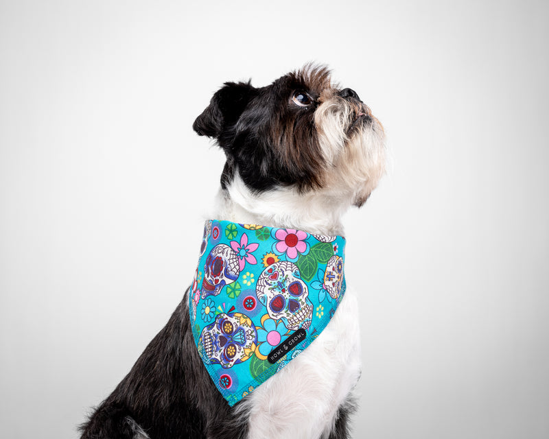 Mexican Skull Dog Bandana