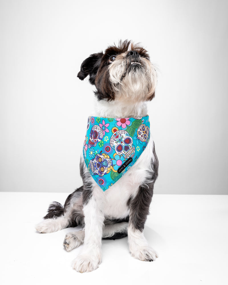 Mexican Skull Dog Bandana