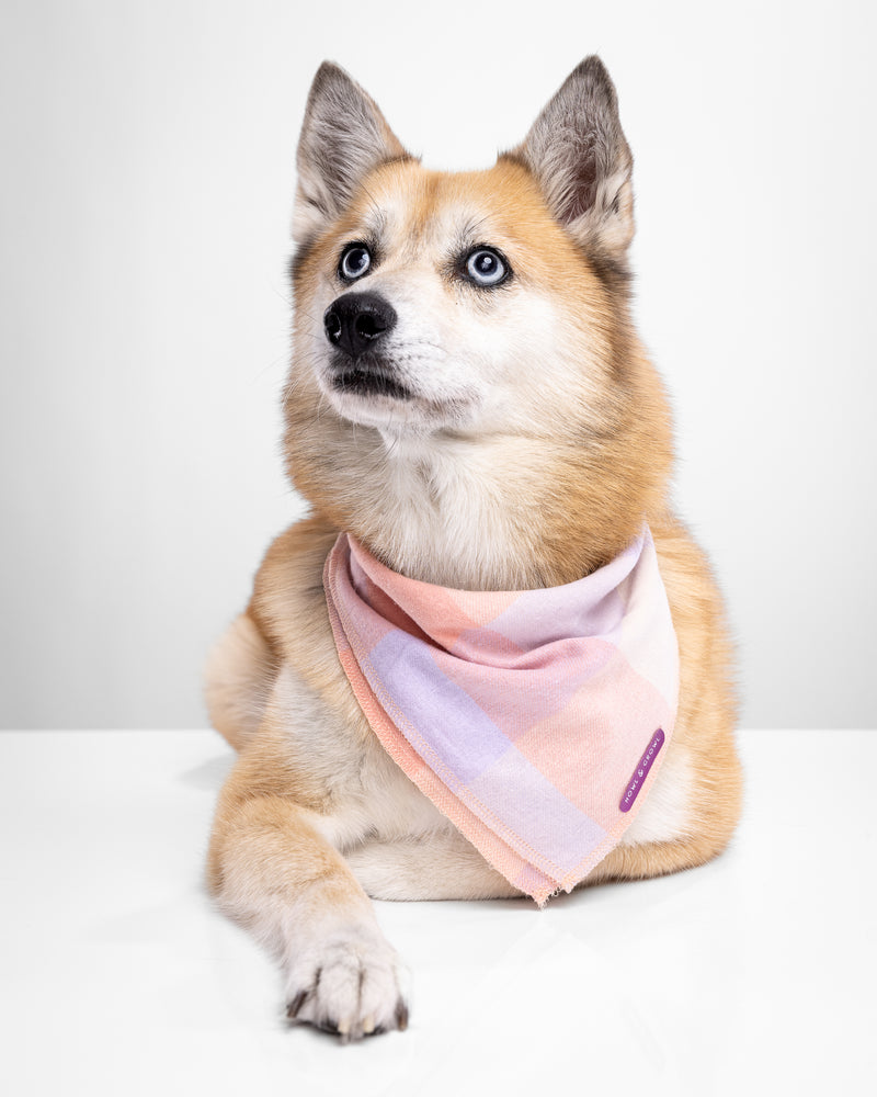 Pink Plaid Dog Bandana