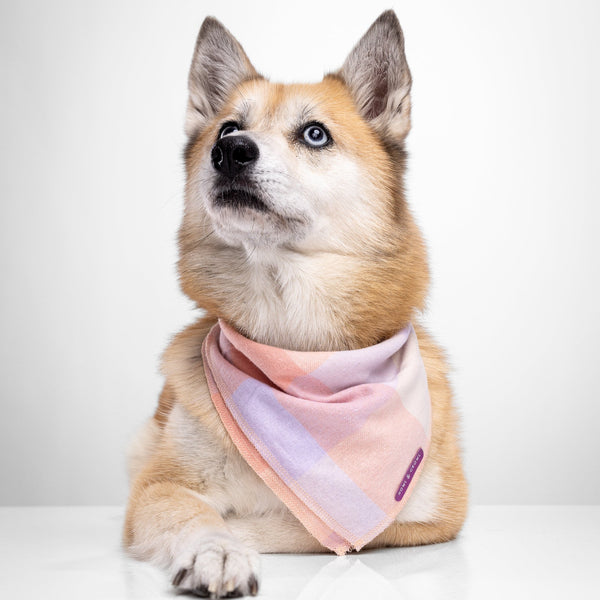 Howl & Growl_Dog Bandana_Pink Plaid