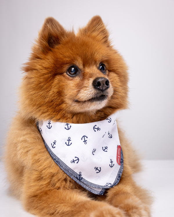 Howl & Growl_Dog Bandana_Sailor_Anchor