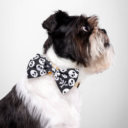 Howl & Growl_Skull Print_Dog Bow Tie