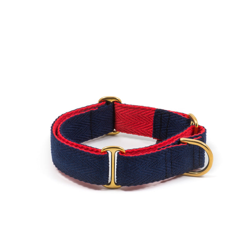 Brott Dog_Martingale Dog Collar_Pure Blue & Red